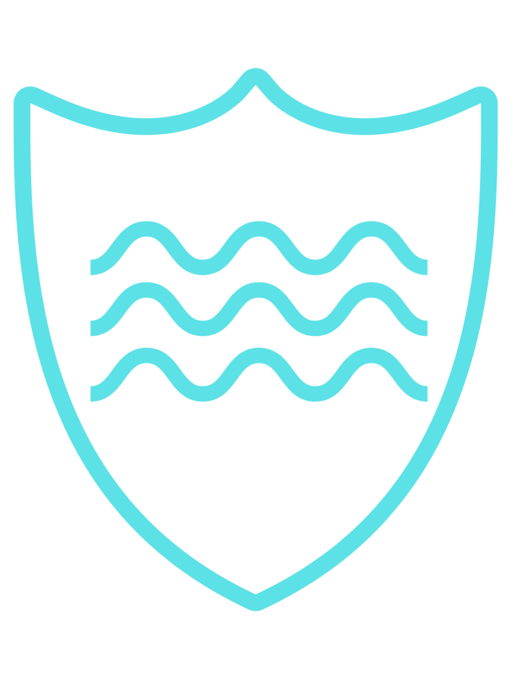 wave runner logo