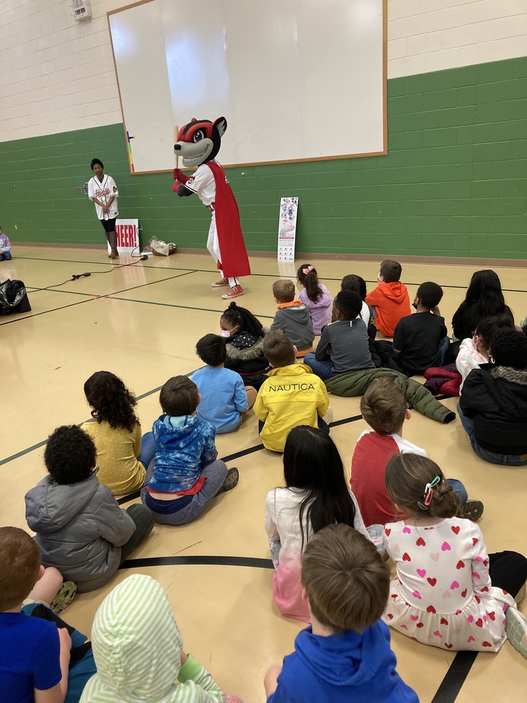 Flying Squirrels
