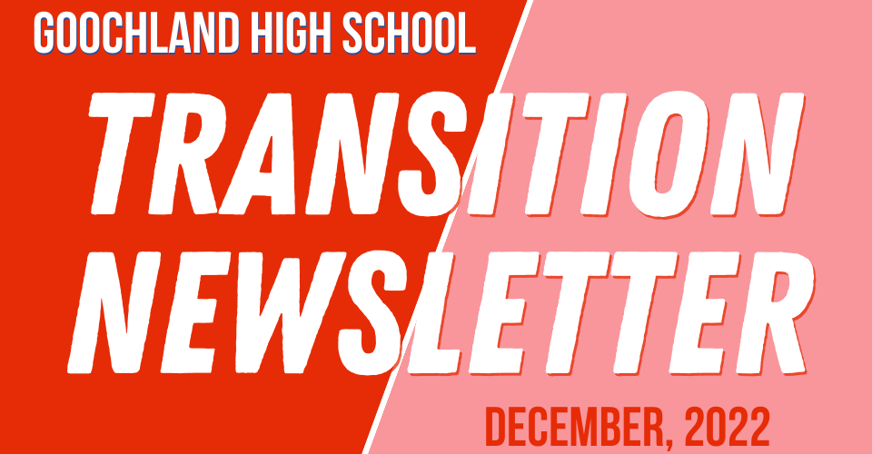 Transition Newsletter, December 2022