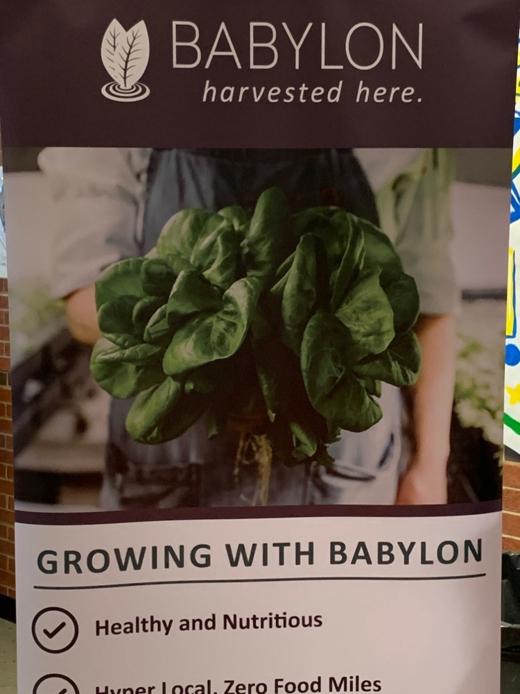 Babylon farms