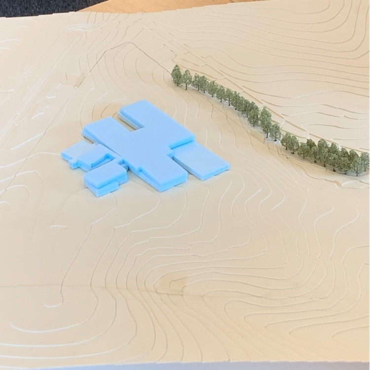 Ges model