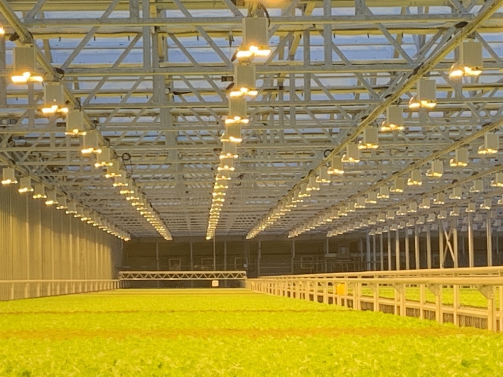 Greenswell Growers hydroponic farm